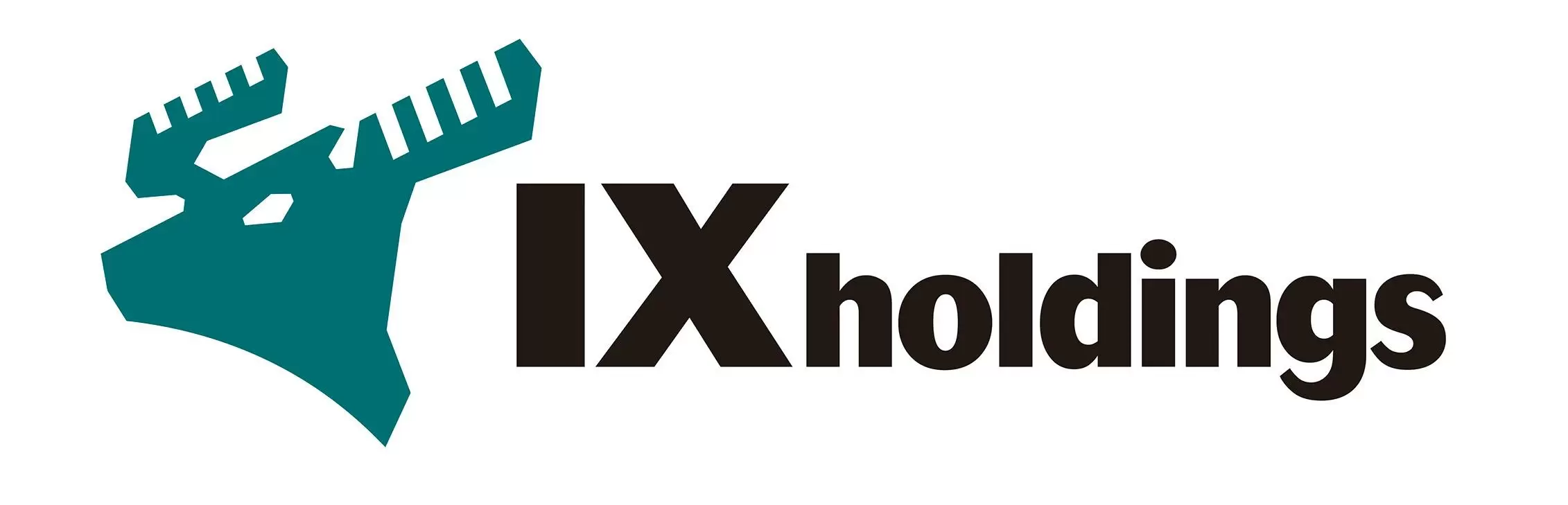IXホールディングス株式会社