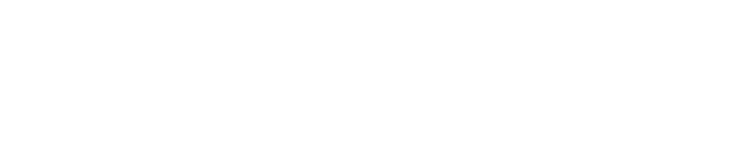 プログラム内容