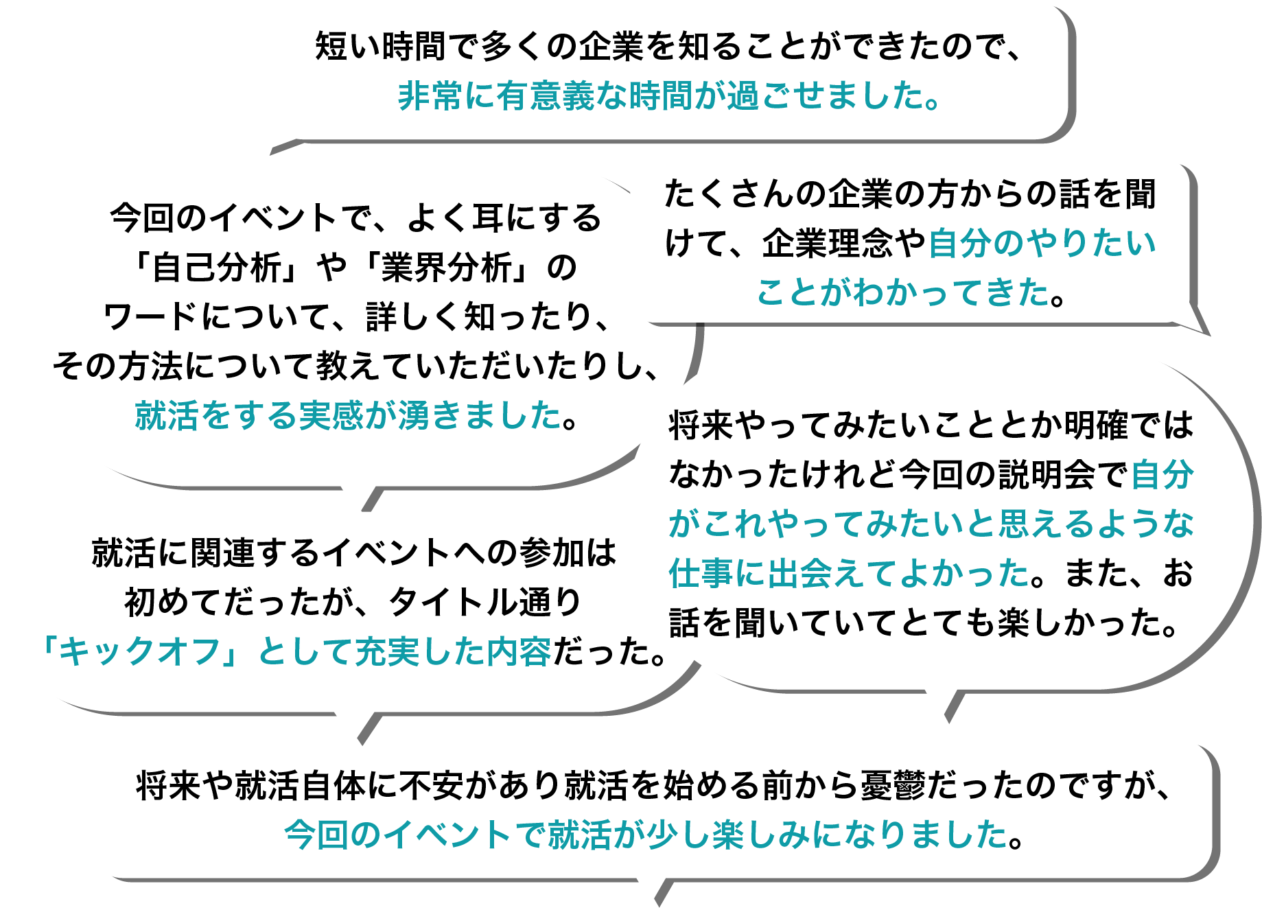 昨年の参加者の声