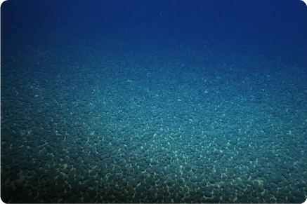 日本の海域で海底鉱物資源（レアメタル）を発見