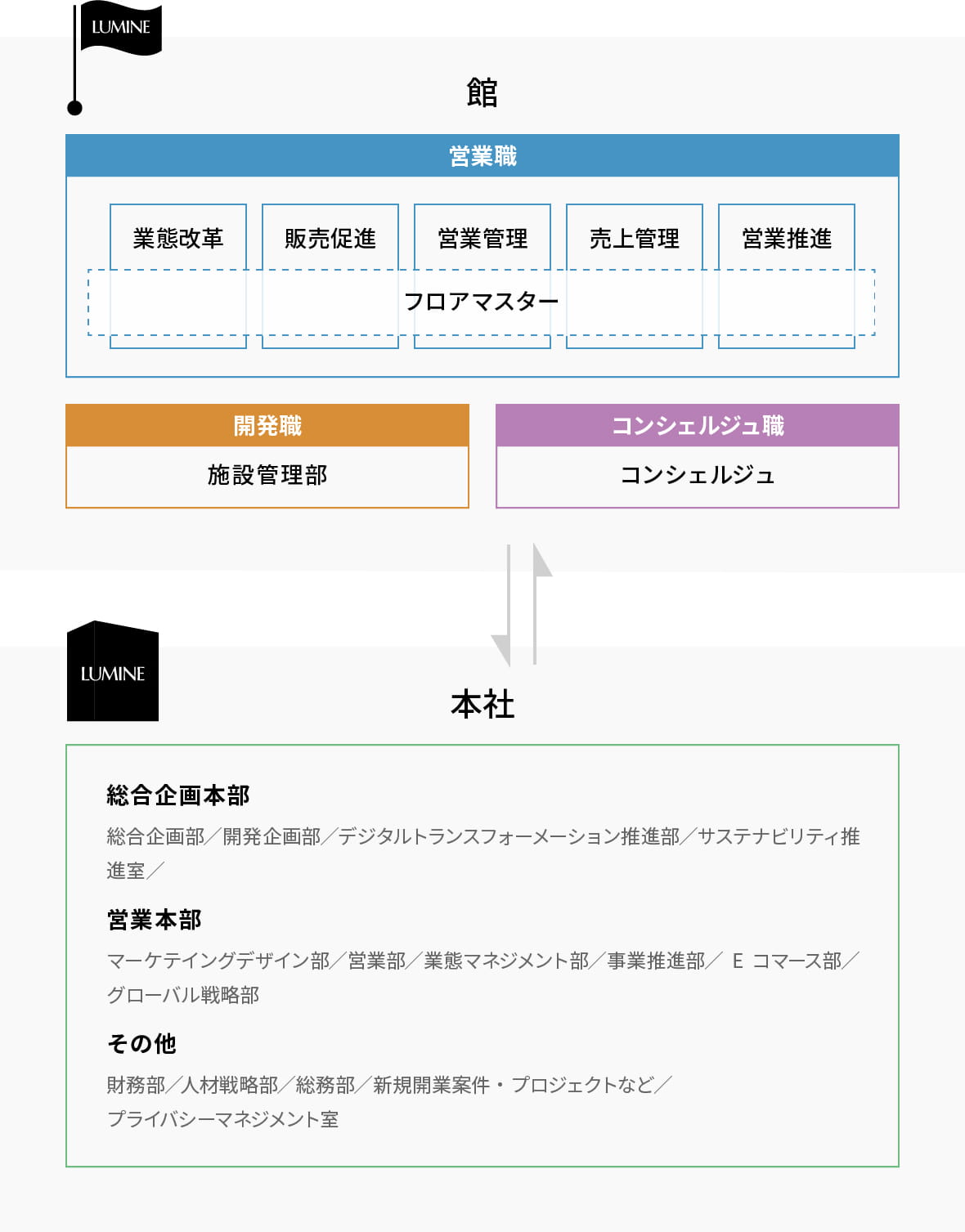 入社後のキャリア　組織図