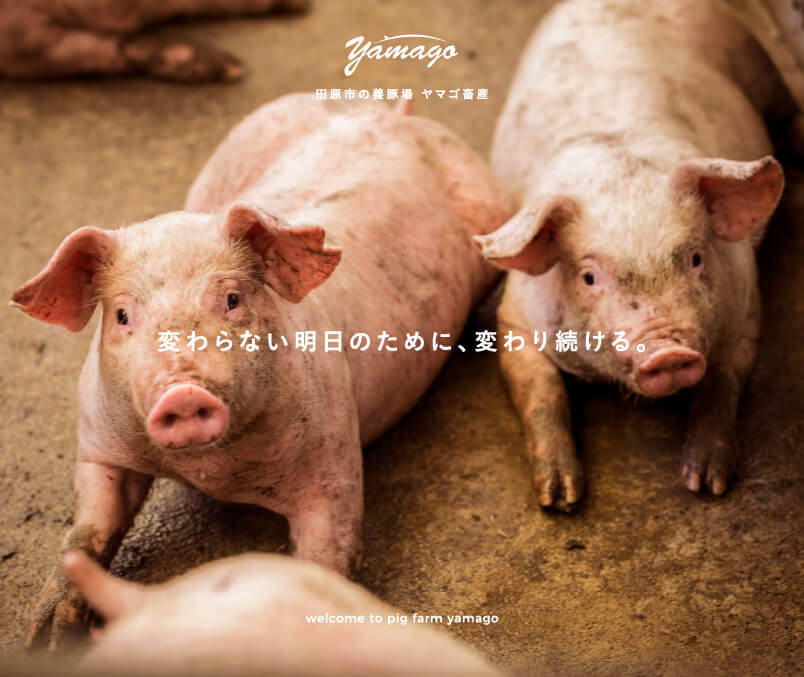 田原市の養豚場 ヤマゴ畜産
		変わらない明日のために、変わり続ける。
		welcome to pig farm yamago